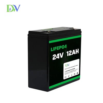 Baterai Lifepo4 24v 12ah