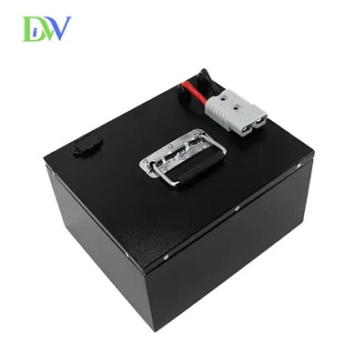 Baterai Lifepo4 48v 60ah
